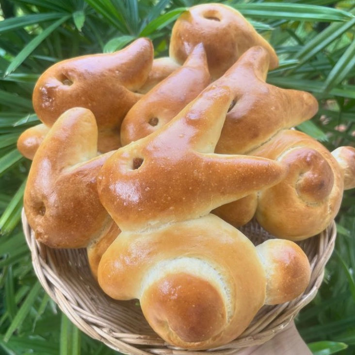 Easter Bunnies