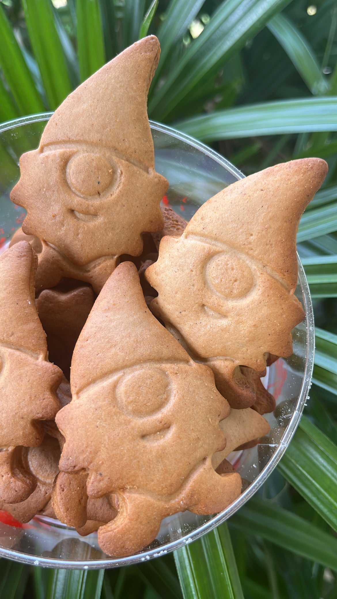 2026 Xmas Cookies Mix [Wiehnachtsguetzli-Mix] available from mid October 2026 (Weihnachtskekse)