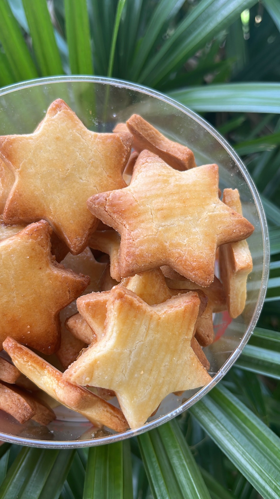 2026 Xmas Cookies Mix [Wiehnachtsguetzli-Mix] available from mid October 2026 (Weihnachtskekse)